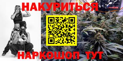 прущие грибы Ставрополь